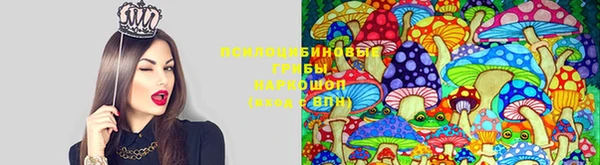 дмт Михайловка