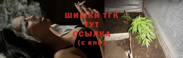 ECSTASY Михайлов