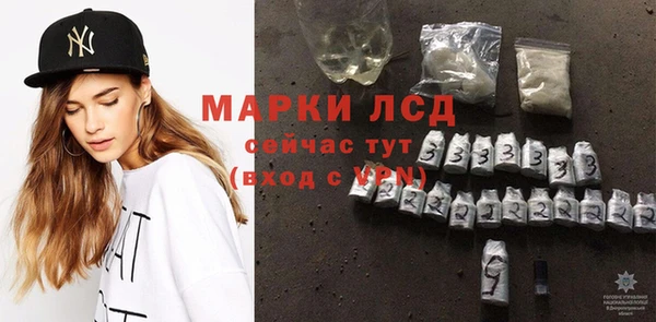 ECSTASY Михайлов