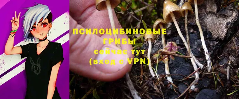 Галлюциногенные грибы MAGIC MUSHROOMS  Красноярск 