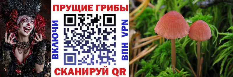 Псилоцибиновые грибы ЛСД  MEGA ссылки  Красноярск 
